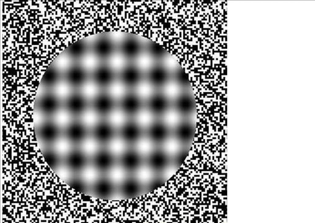 What You See is a Complete Illusion...Always! - Neurosculpting®